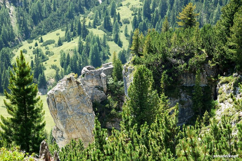 2007-07-17_067.jpg - PeBov 2007