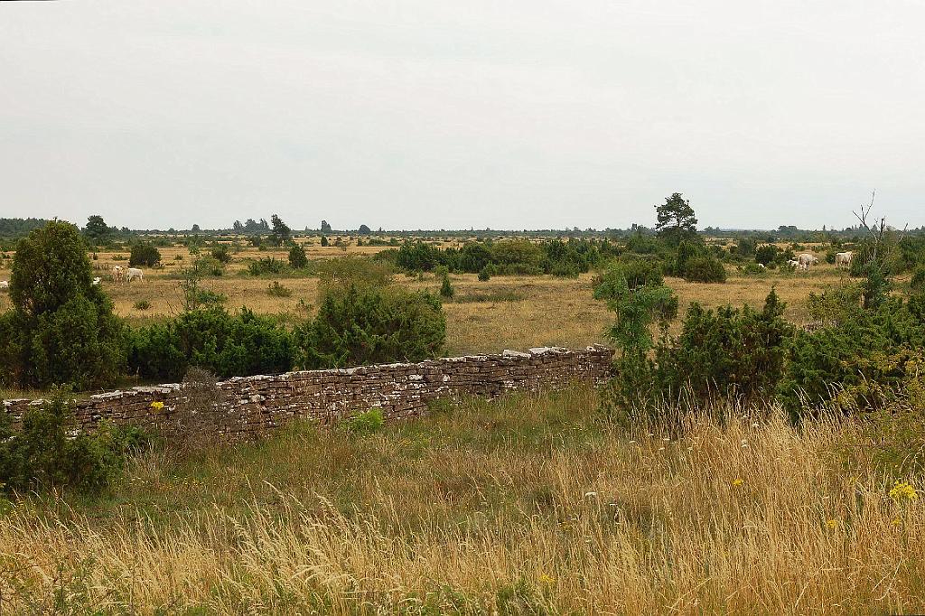 2008-07-18_008.JPG - Het kale landschap centraal in het zuiden van Oland.