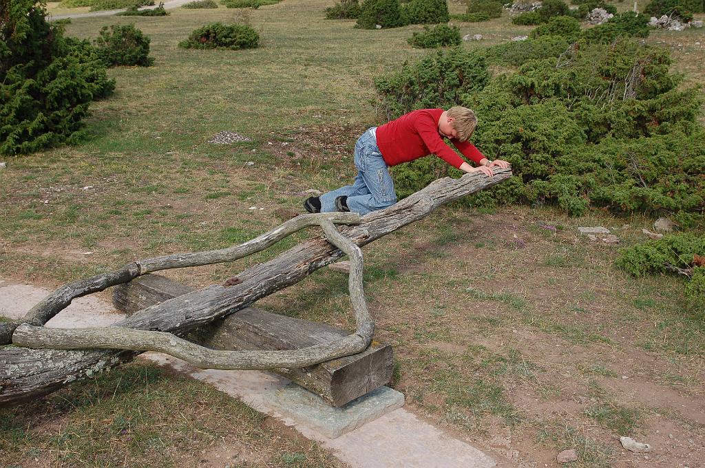 2008-07-20_046.JPG - Jordhamn: polijsten van kalksteen met behulp van ossen.