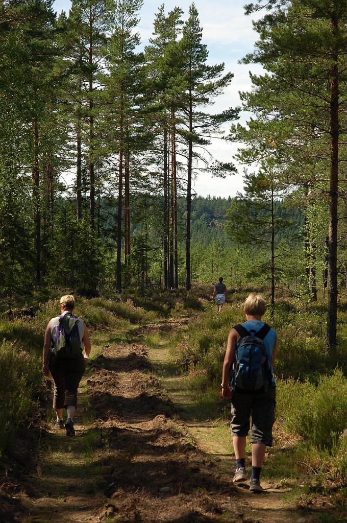 2008-07-30_007.JPG - Wandelen in het natuurreservaat Hokensas.