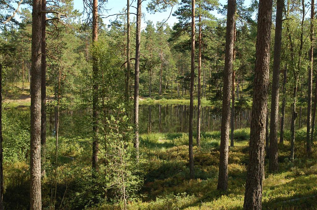 2008-07-30_023.JPG - Lille Ojasjon.