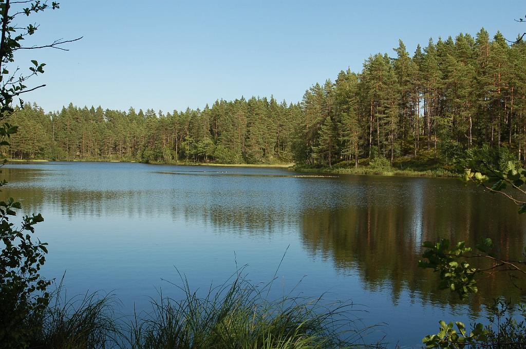 2008-07-30_043.JPG - Kroksjon.