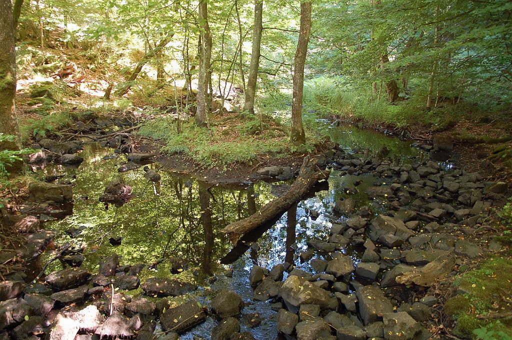 2008-08-01_020.JPG - In het dal van de Skaran.