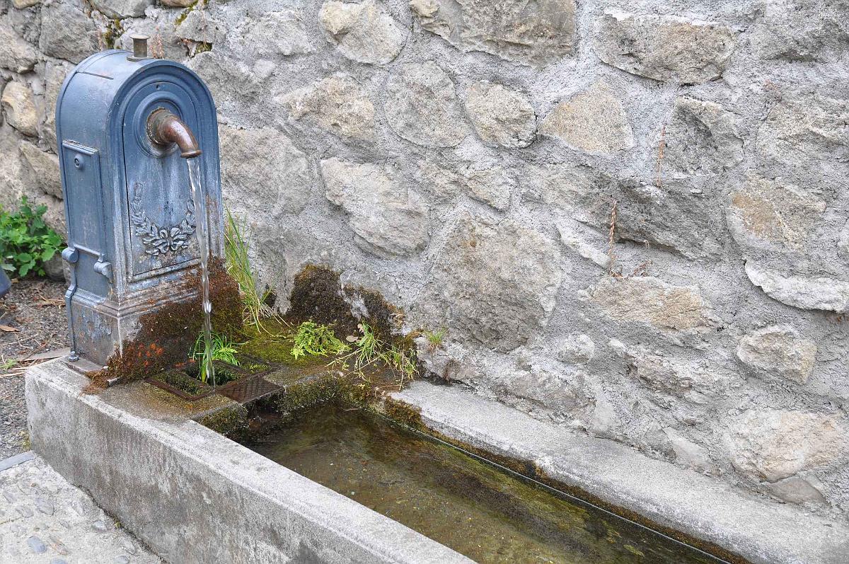 2009-08-02_006.JPG - PeBov 2009