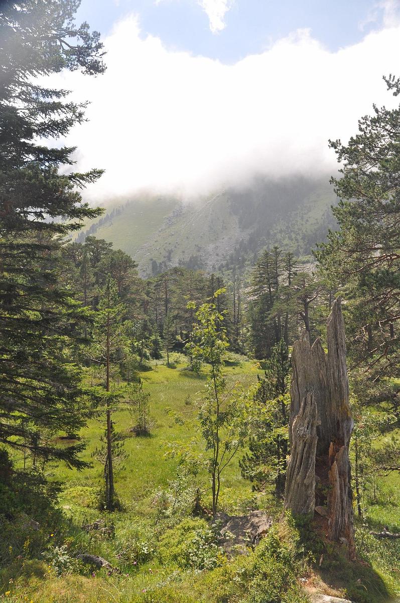 2009-08-03_008.JPG - PeBov 2009