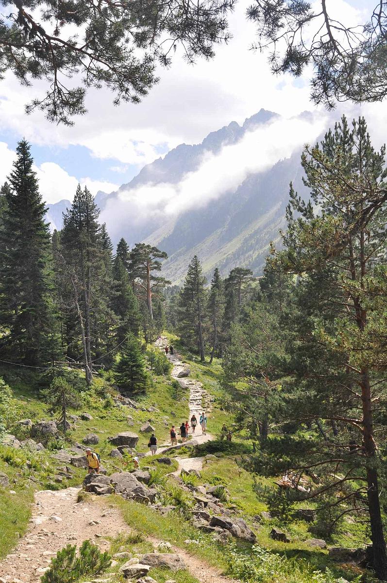 2009-08-03_029.JPG - PeBov 2009