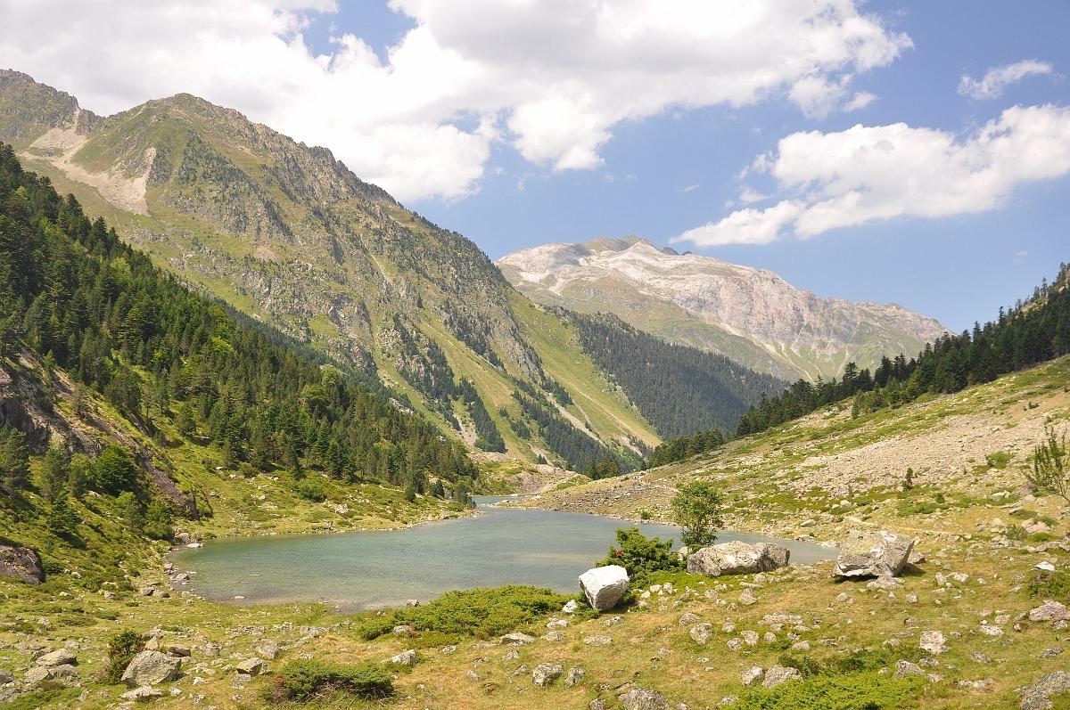 2009-08-05_006.JPG - PeBov 2009