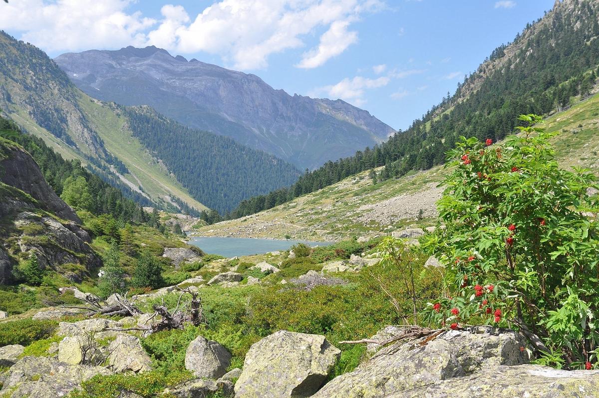 2009-08-05_024.JPG - PeBov 2009