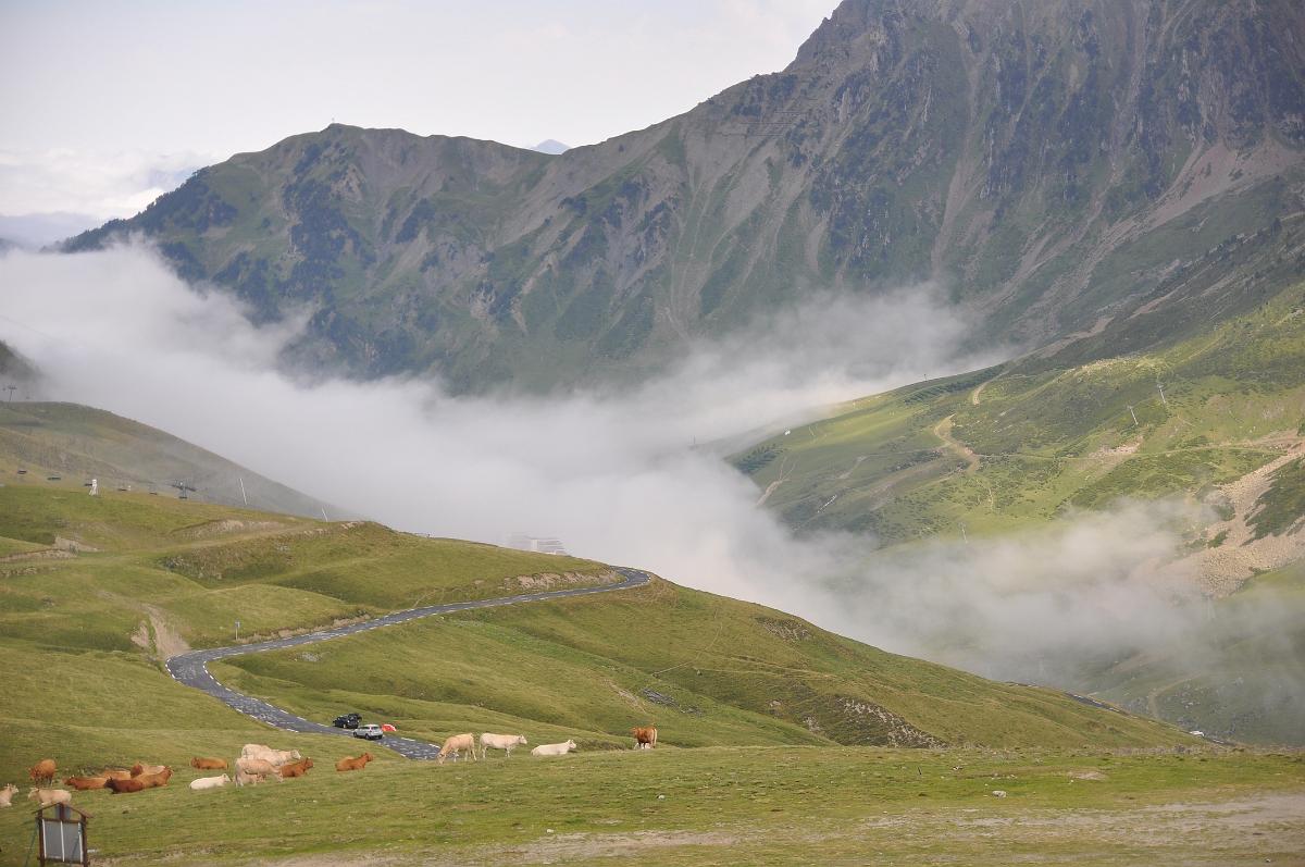 2009-08-06_027.JPG - PeBov 2009