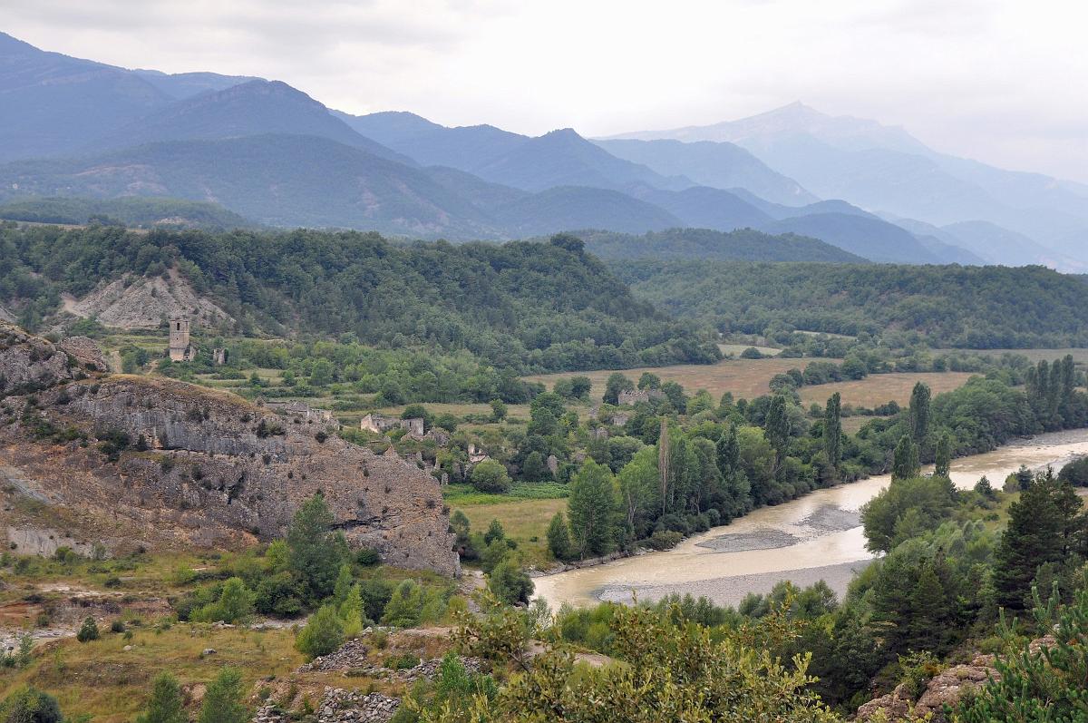 2009-08-08_056-pse.jpg - PeBov 2009