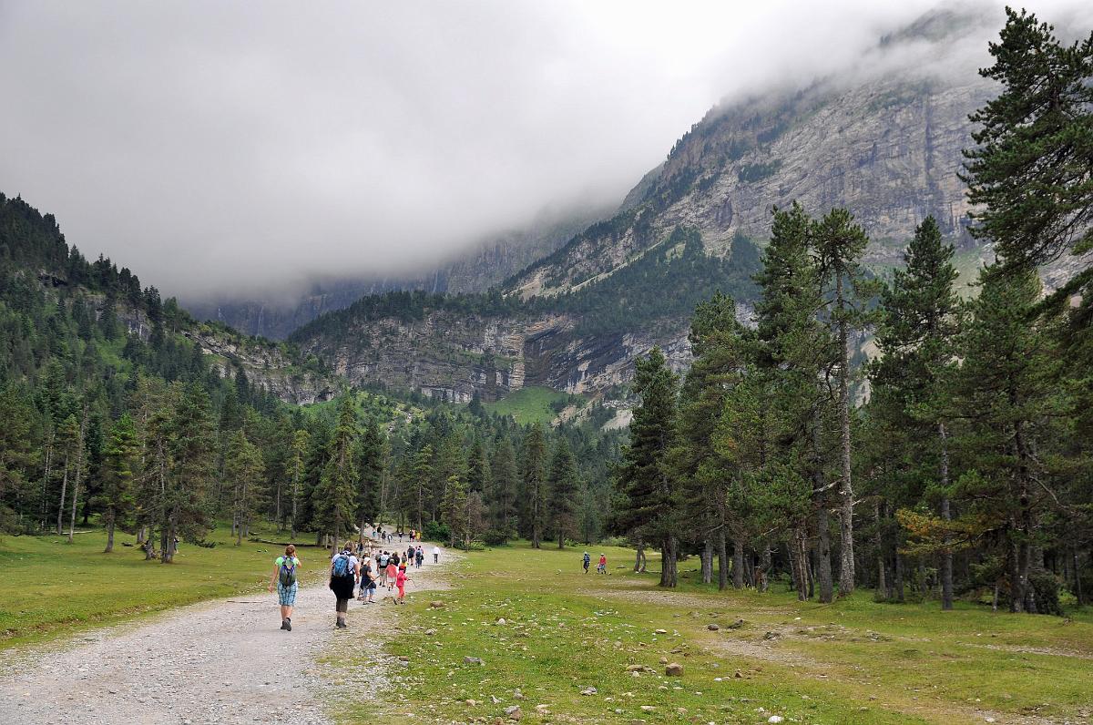 2009-08-10_006-pse.jpg - PeBov 2009