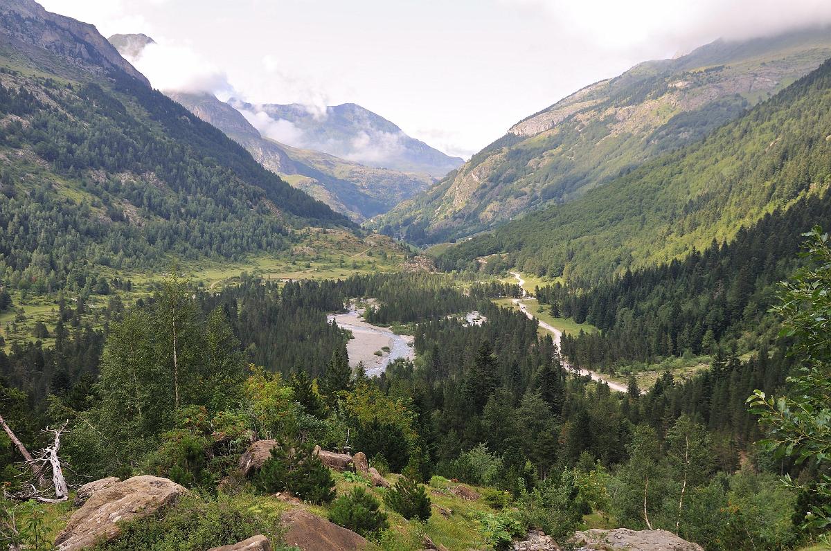 2009-08-10_025-nx.JPG - PeBov 2009