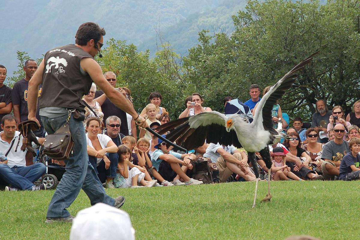 2009-08-13_004.JPG - (c) 2008, Peter Bovendeerd