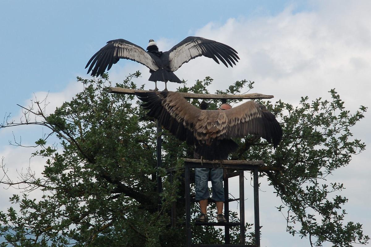 2009-08-13_015.JPG - (c) 2008, Peter Bovendeerd