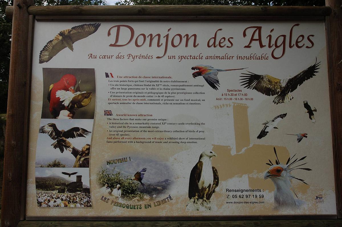 2009-08-13_054.JPG - (c) 2008, Peter Bovendeerd