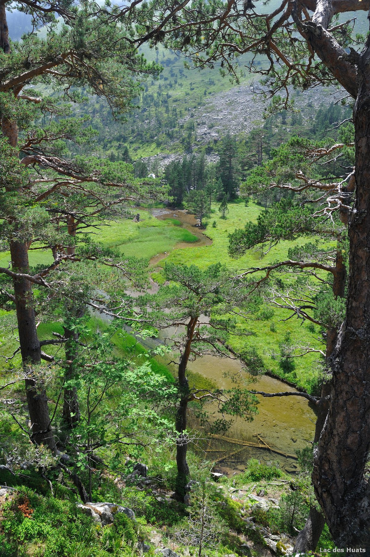 2009-08-03_020.jpg - PeBov 2009