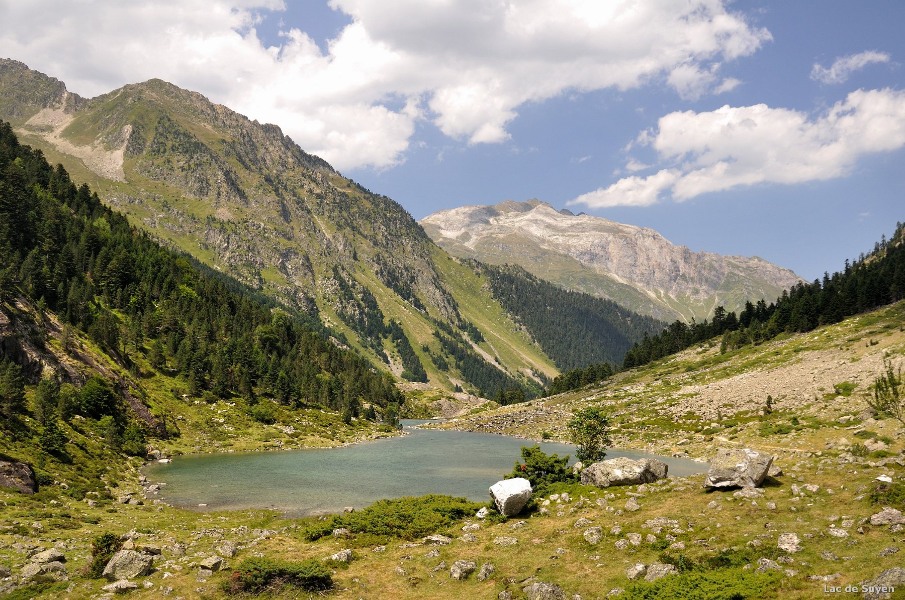 2009-08-05_006.jpg - PeBov 2009