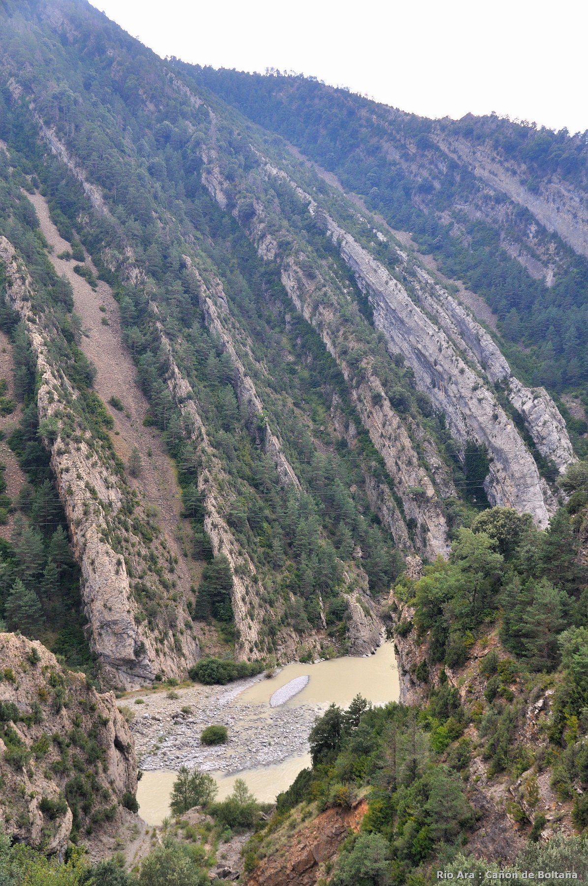 2009-08-08_047.jpg - PeBov 2009