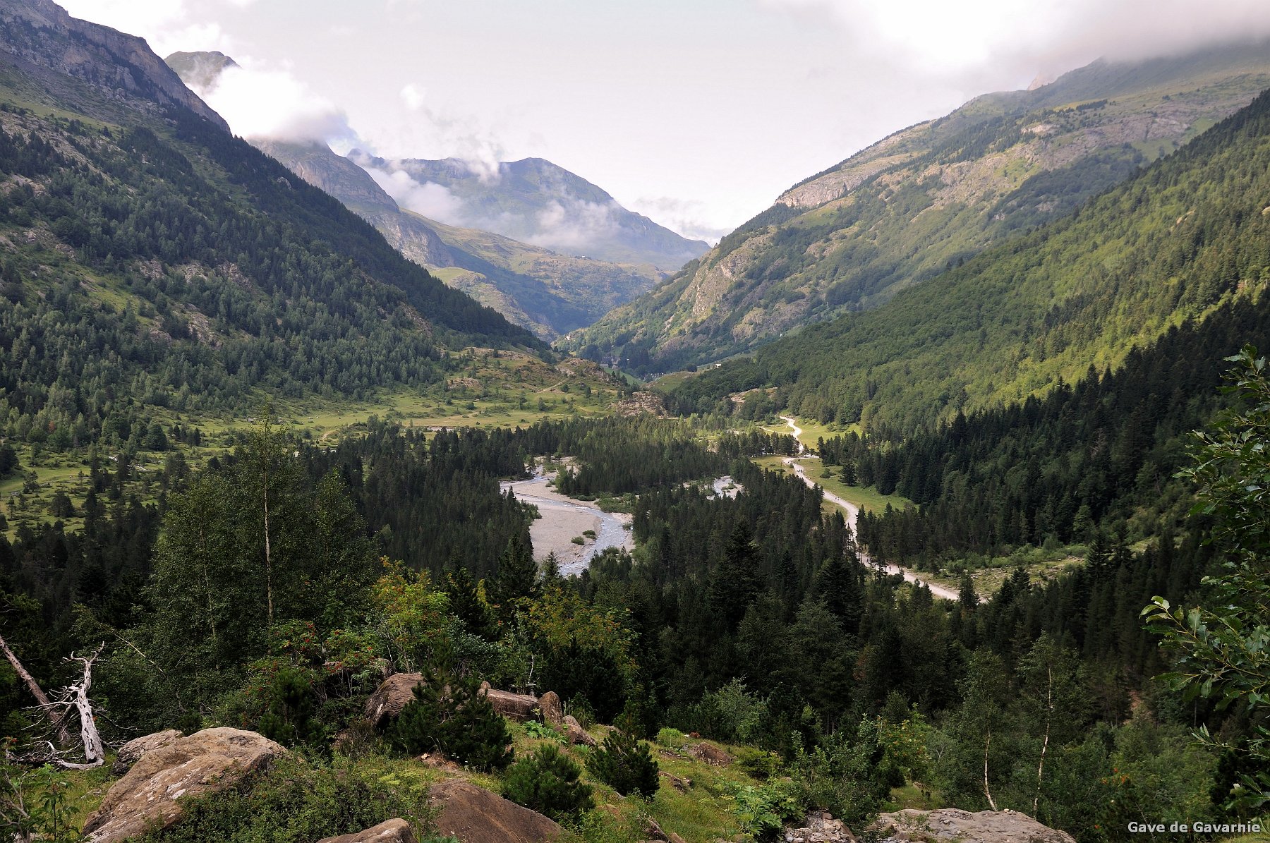 2009-08-10_025.jpg - PeBov 2009