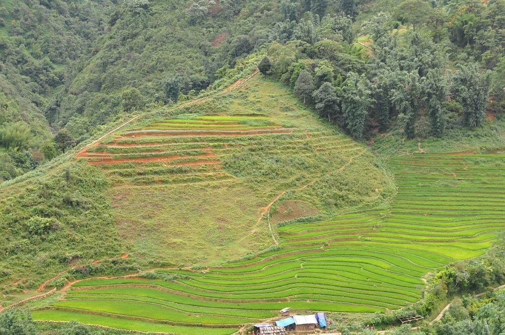 2010-07-31_025.JPG - PeBov 2010