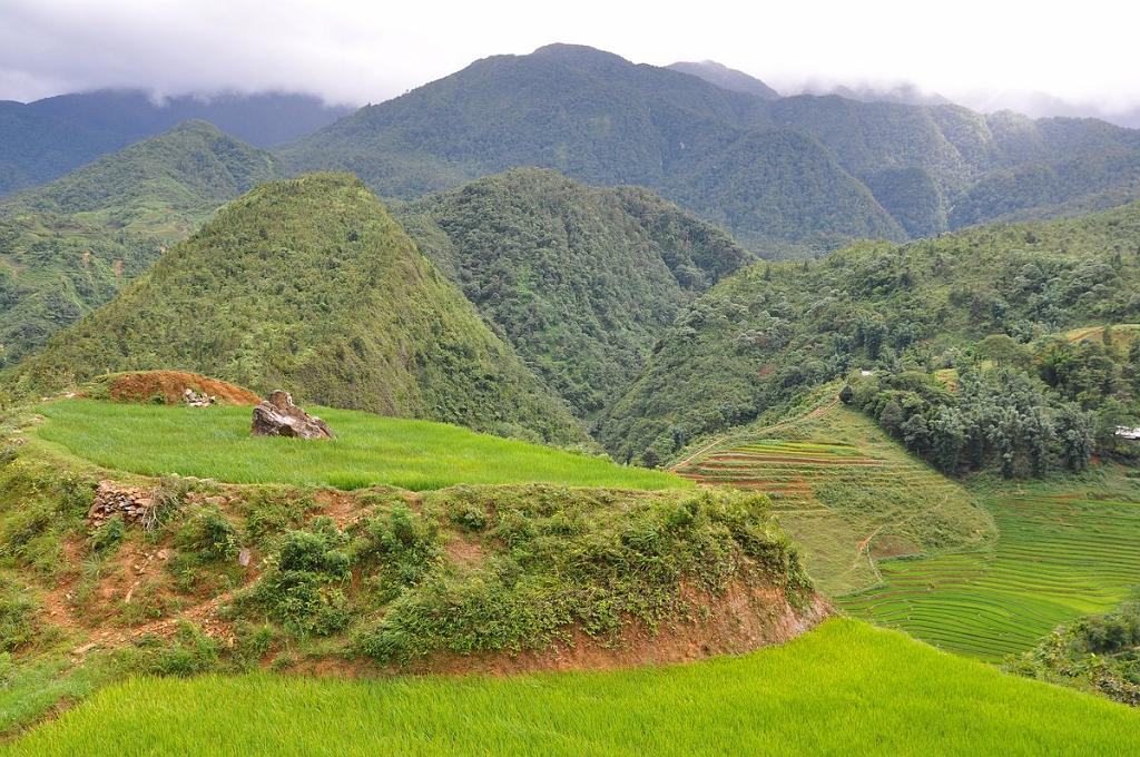 2010-07-31_027.JPG - PeBov 2010