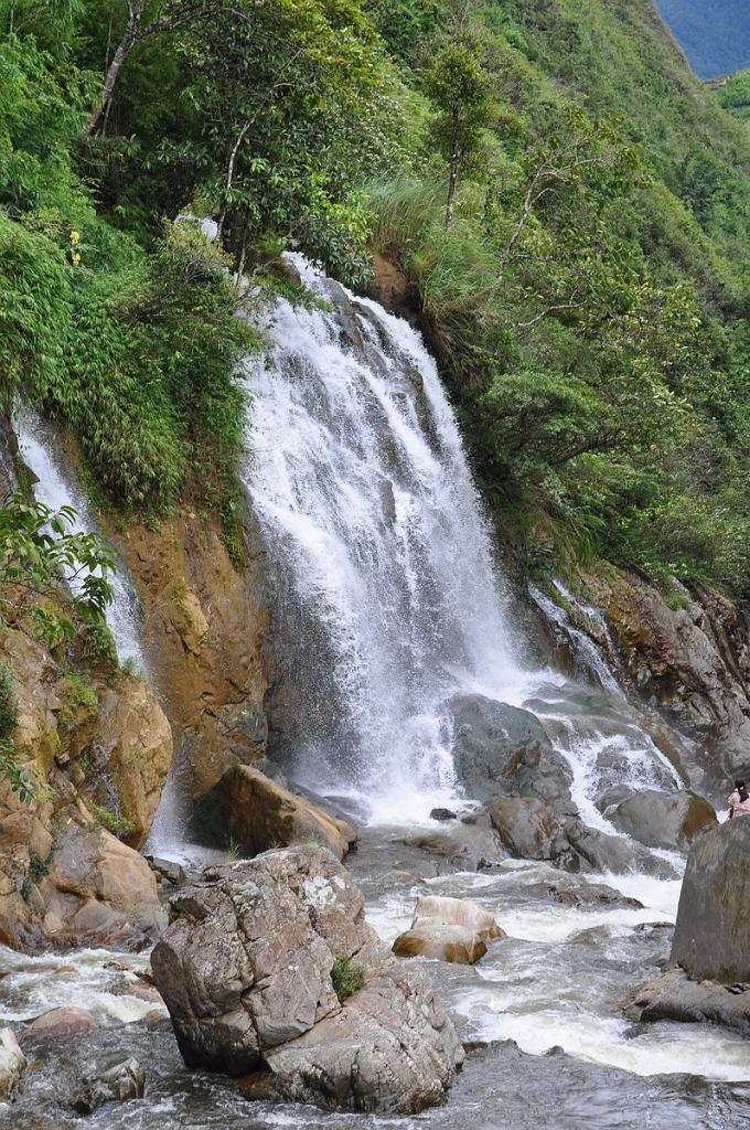 2010-07-31_038.JPG - PeBov 2010