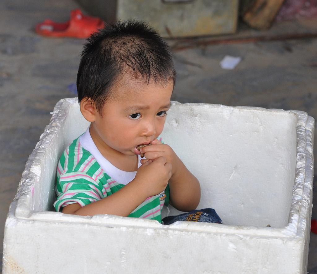 2010-08-01_020.JPG - PeBov 2010