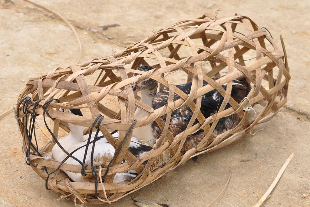 2010-08-01_030.JPG - PeBov 2010