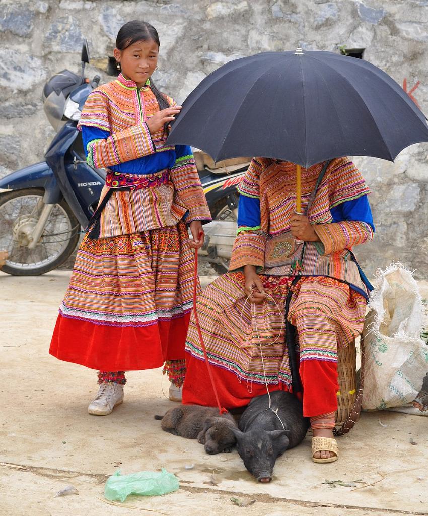 2010-08-01_038.JPG - PeBov 2010