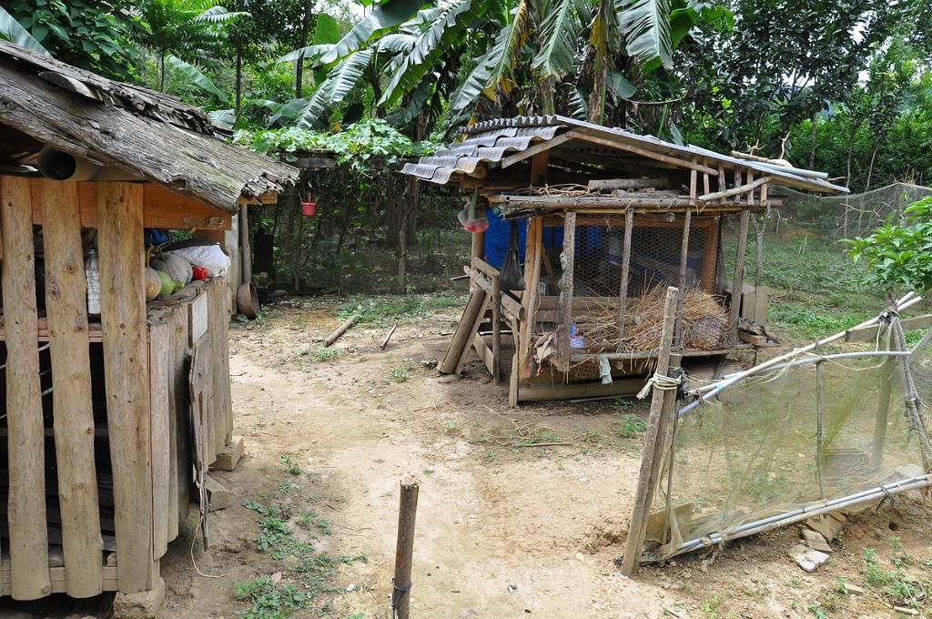 2010-08-01_056.JPG - PeBov 2010