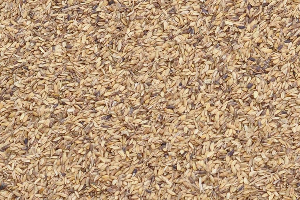 2010-08-01_083.JPG - PeBov 2010