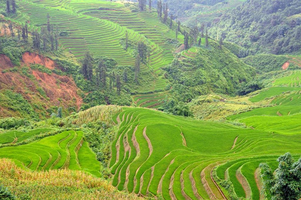 2010-08-02_006.jpg - PeBov 2010