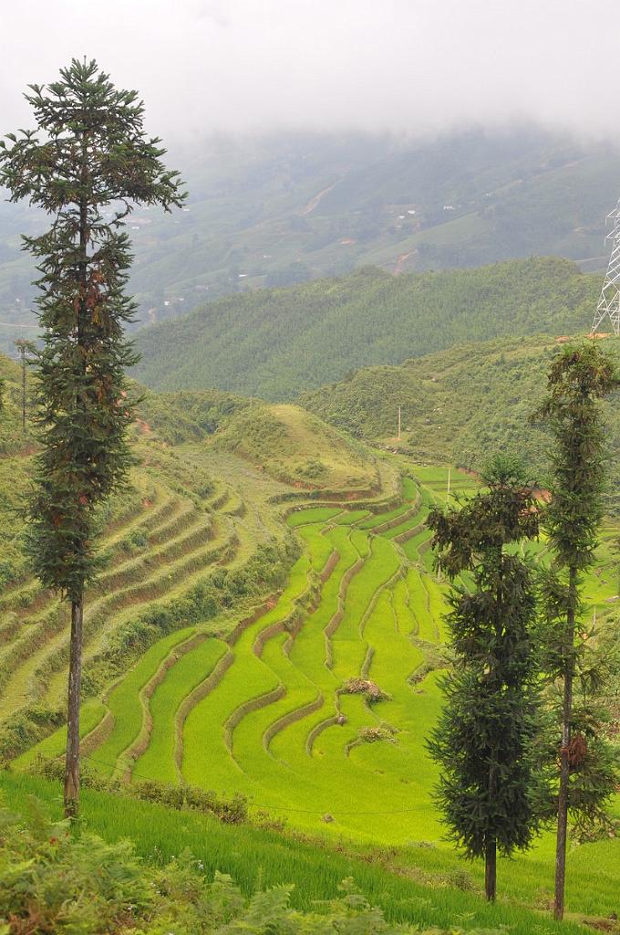 2010-08-02_008.JPG - PeBov 2010