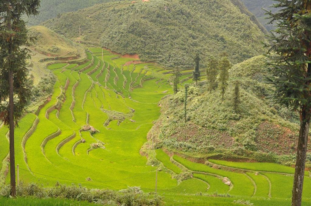 2010-08-02_009.JPG - PeBov 2010