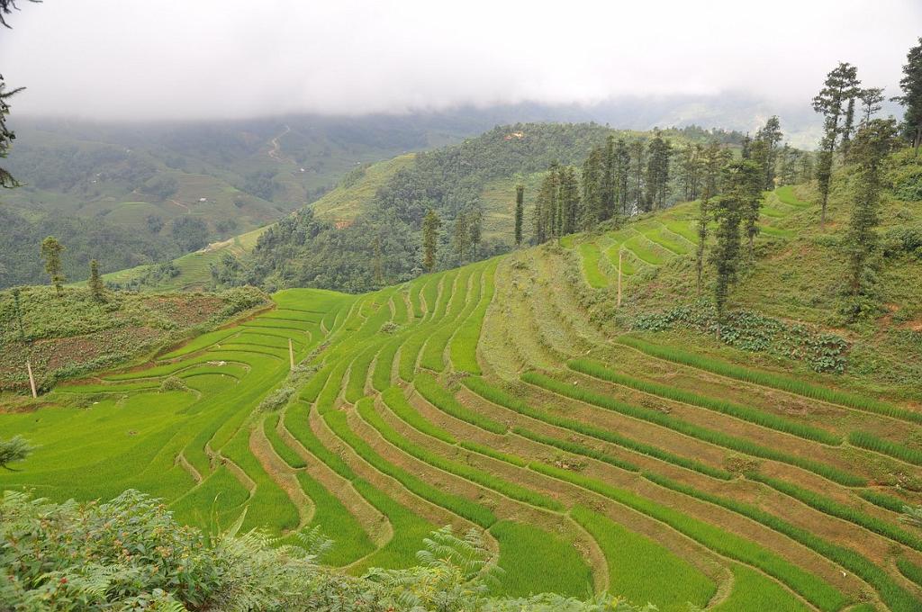 2010-08-02_010.JPG - PeBov 2010