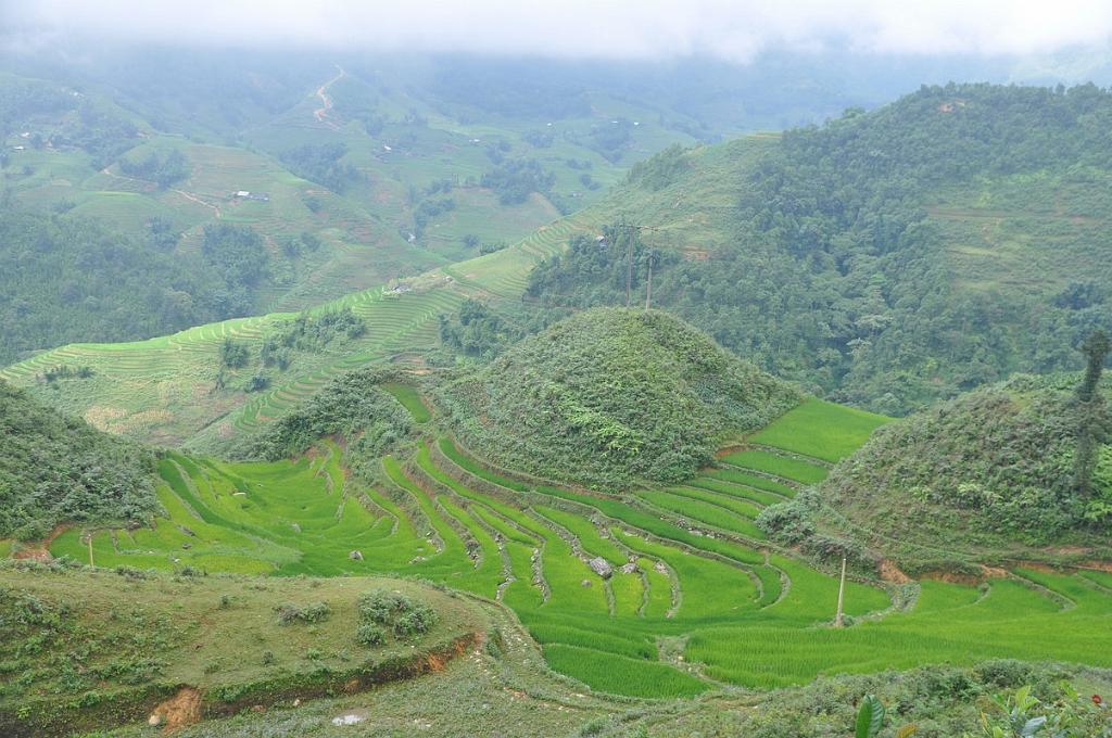 2010-08-02_012.JPG - PeBov 2010