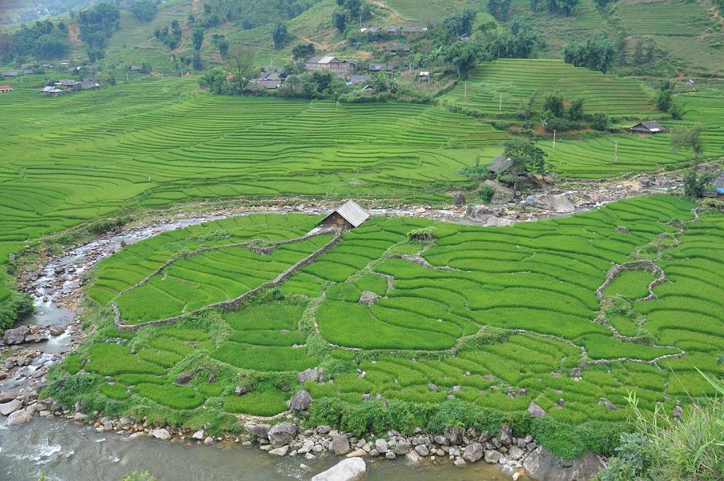 2010-08-02_030.JPG - PeBov 2010