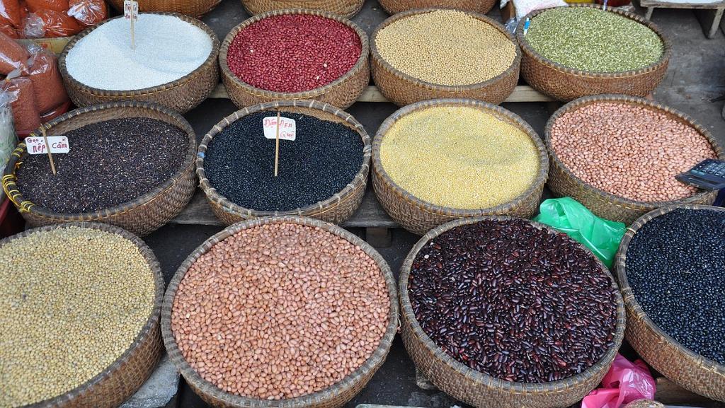 2010-08-03_018.JPG - PeBov 2010