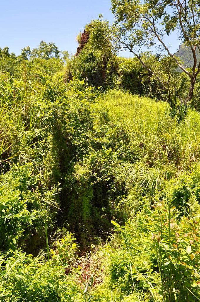 2010-08-05_056.JPG - PeBov 2010