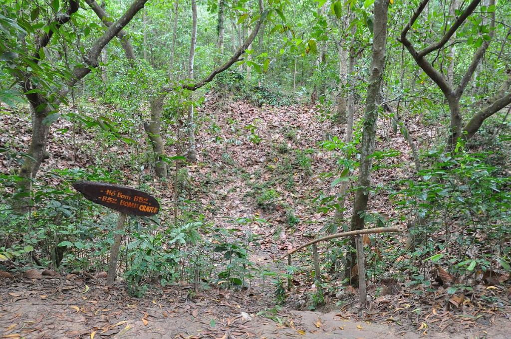 2010-08-08_042.JPG - PeBov 2010