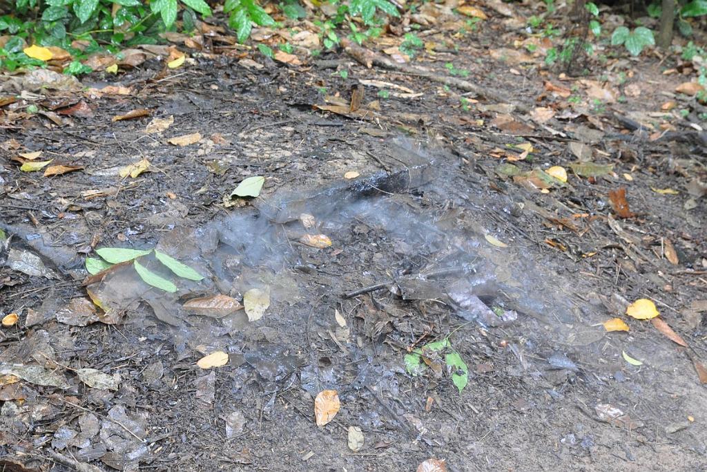 2010-08-08_046.JPG - PeBov 2010