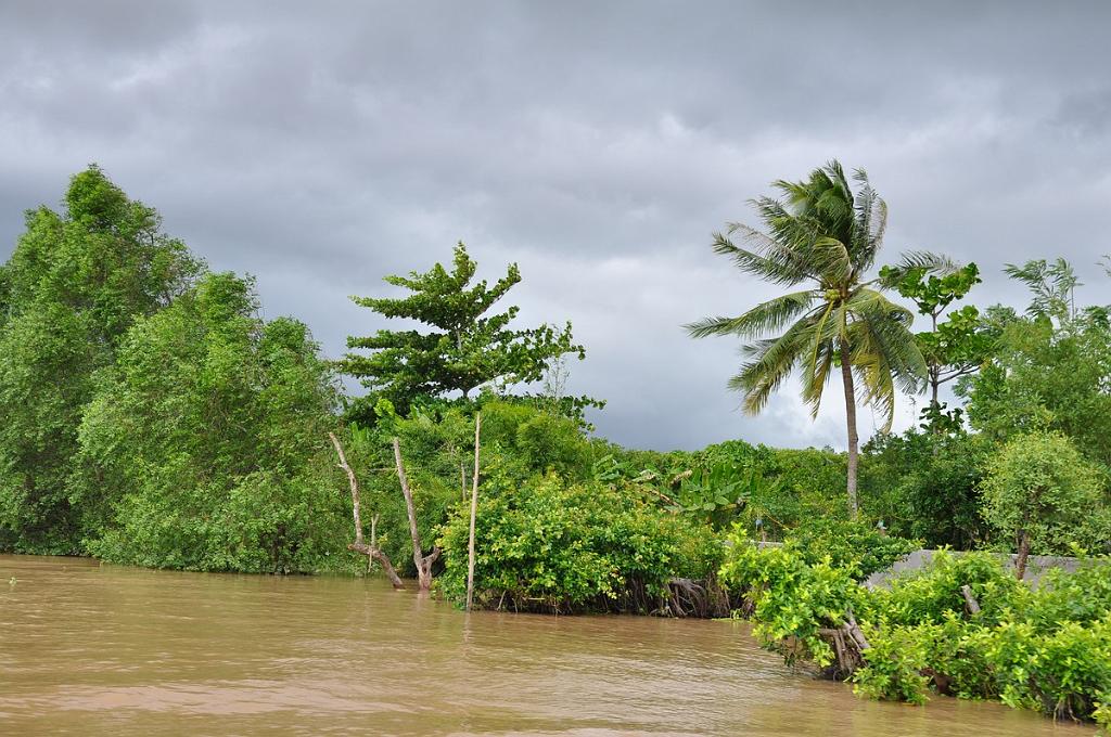 2010-08-09_077.JPG - PeBov 2010