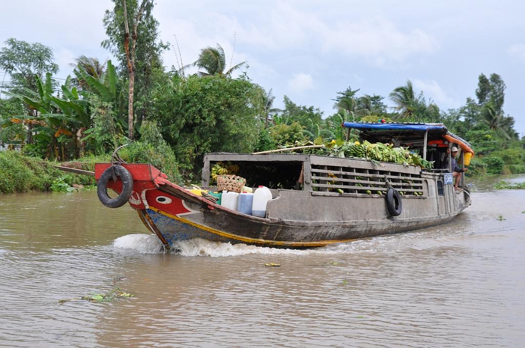 2010-08-09_092.JPG - PeBov 2010