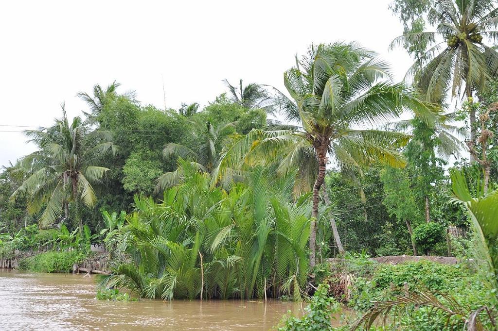 2010-08-09_112.JPG - PeBov 2010