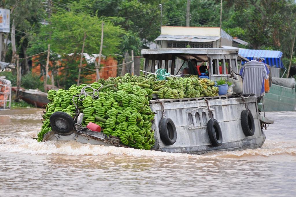 2010-08-09_126.JPG - PeBov 2010
