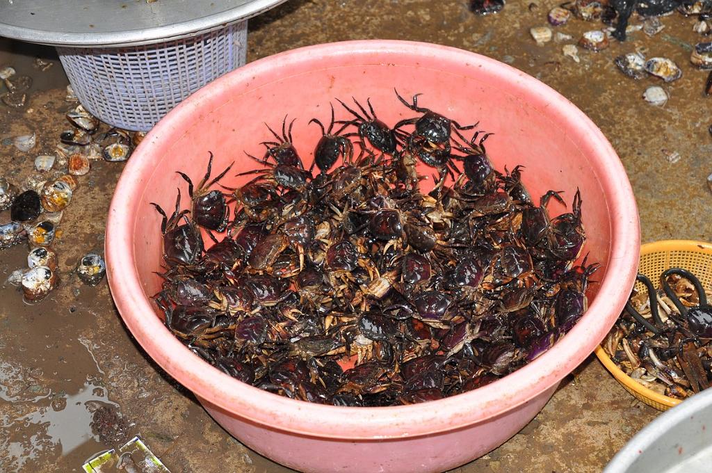 2010-08-10_033.JPG - PeBov 2010