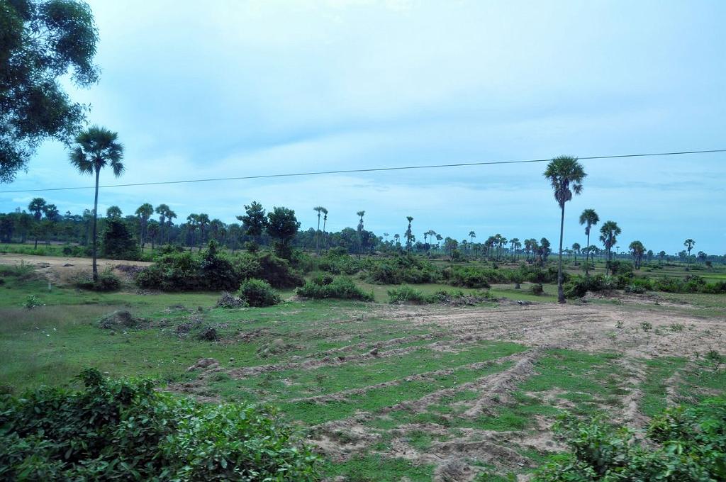 2010-08-13_011a.jpg - PeBov 2010