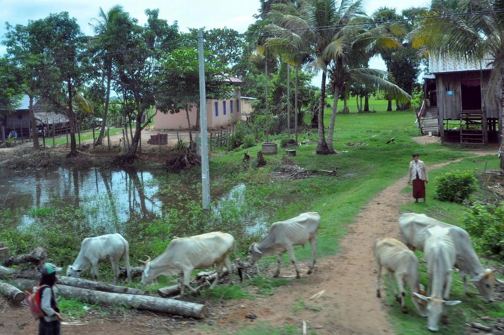 2010-08-13_018a.jpg - PeBov 2010