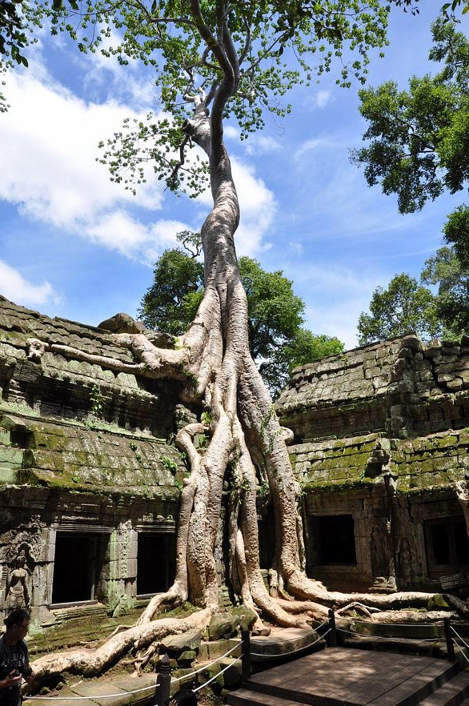 2010-08-14_152.JPG - PeBov 2010