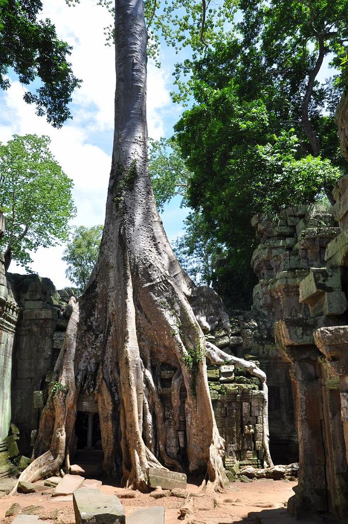 2010-08-14_163.JPG - PeBov 2010